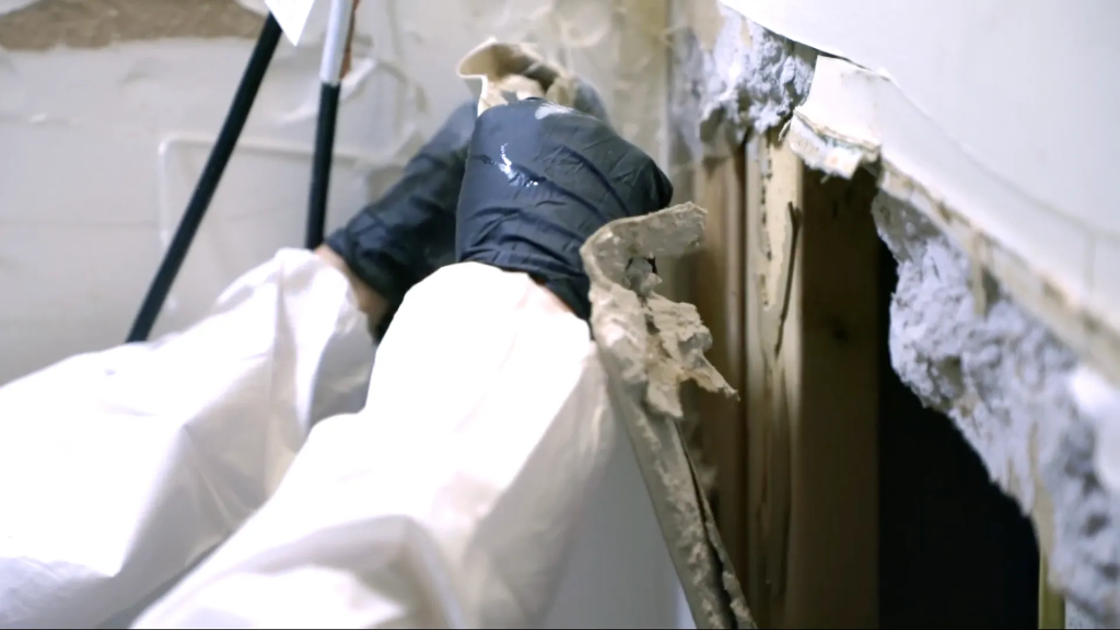 Mold removal and remediation service in Montclair